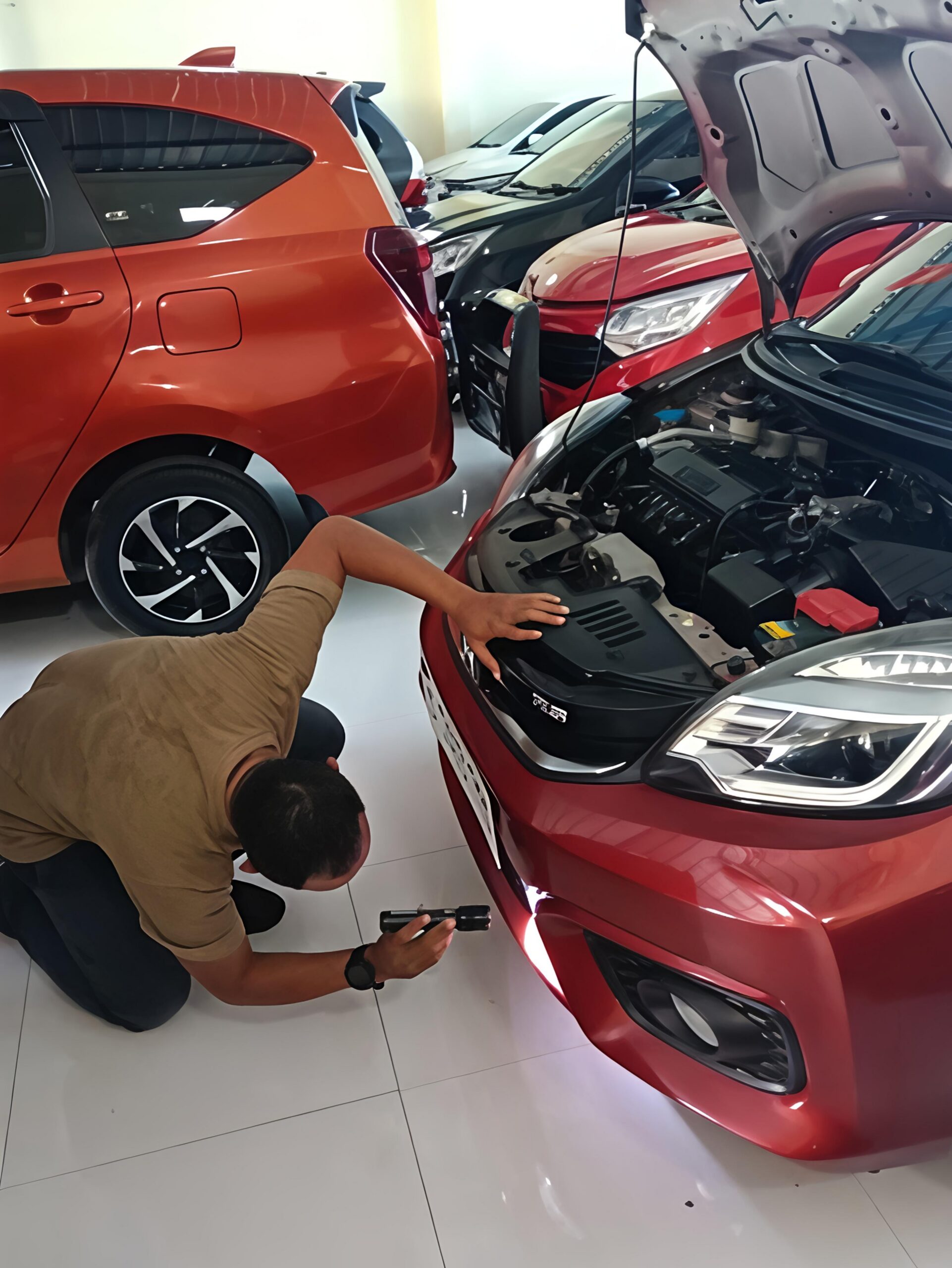 Inspector Lapangan Inspekta